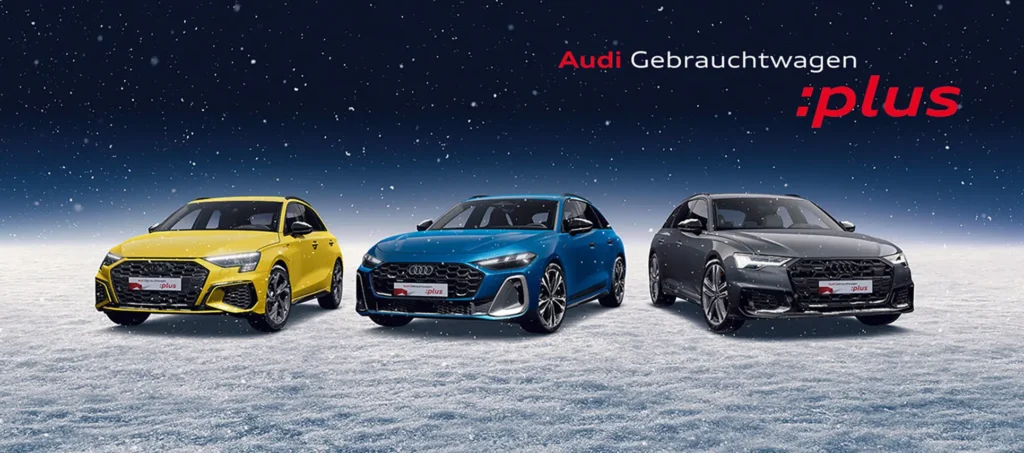 Winterleasing zugeschnitten